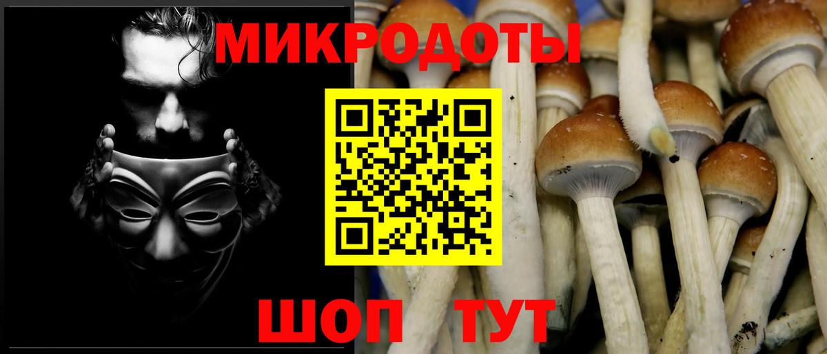 Галлюциногенные грибы мицелий Бирск