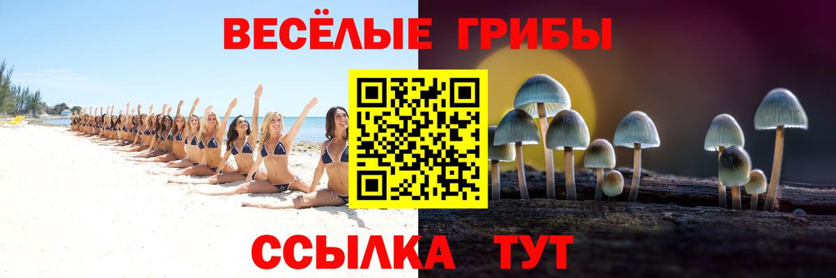 Бирск  Галлюциногенные грибы мицелий  Вход с VPN 